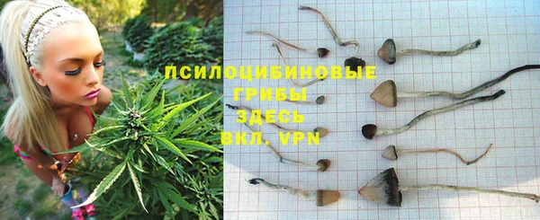 mdpv Алзамай