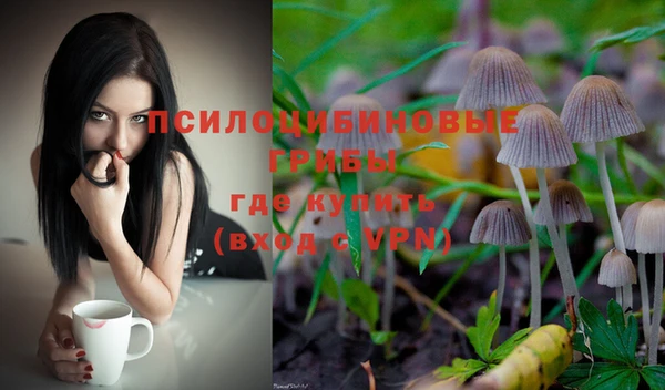 mdpv Алзамай