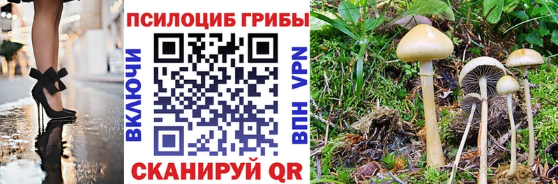 Галлюциногенные грибы Cubensis Добрянка