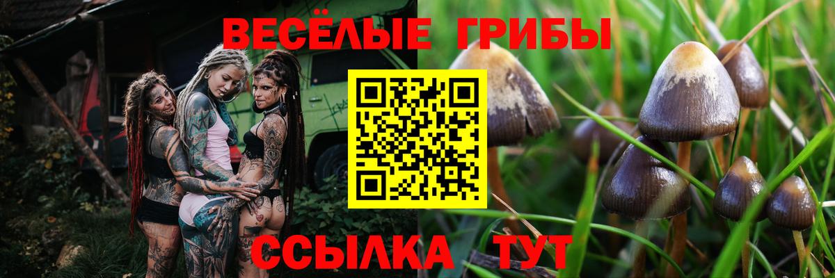 Галлюциногенные грибы MAGIC MUSHROOMS Добрянка