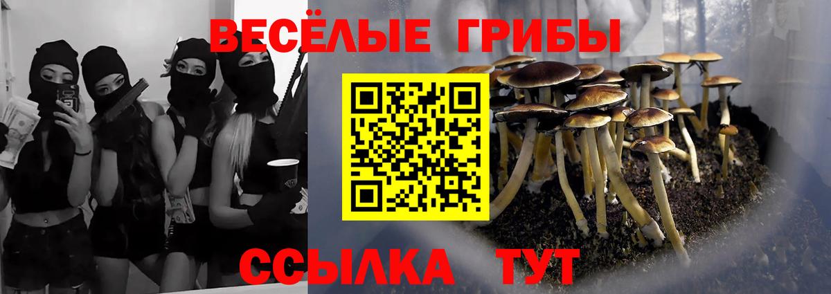 Галлюциногенные грибы MAGIC MUSHROOMS  Вход с VPN  Добрянка 